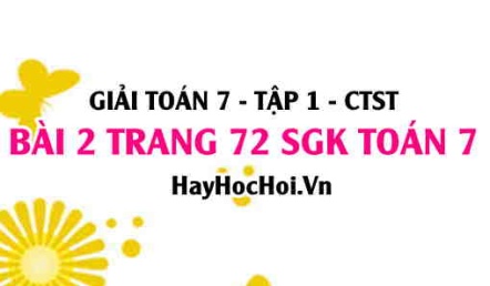 Giải bài 2 trang 72 Toán 7 Tập 1 SGK Chân trời sáng tạo